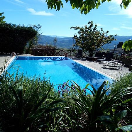 Casa Mezzuola Agriturismo Villa Greve in Chianti Bagian luar foto