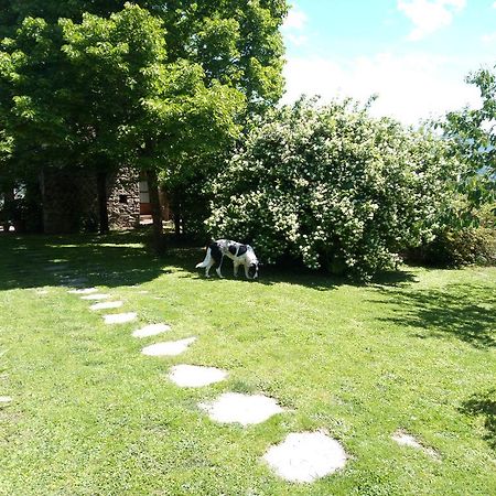 Casa Mezzuola Agriturismo Villa Greve in Chianti Bagian luar foto