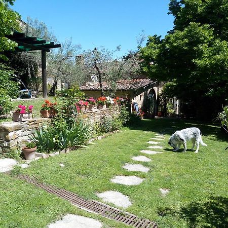 Casa Mezzuola Agriturismo Villa Greve in Chianti Bagian luar foto