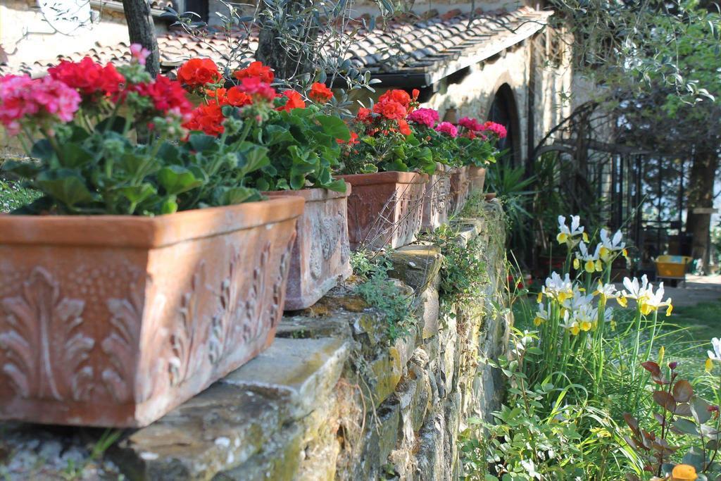 Casa Mezzuola Agriturismo Villa Greve in Chianti Bagian luar foto