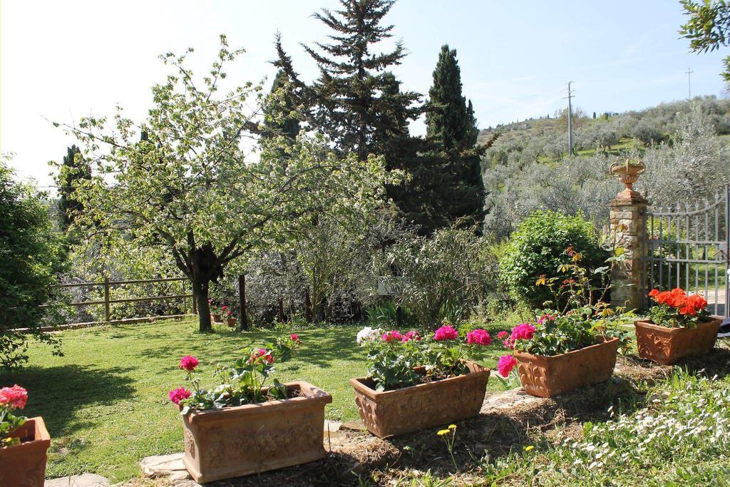 Casa Mezzuola Agriturismo Villa Greve in Chianti Bagian luar foto