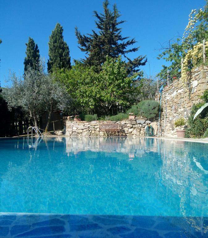 Casa Mezzuola Agriturismo Villa Greve in Chianti Bagian luar foto