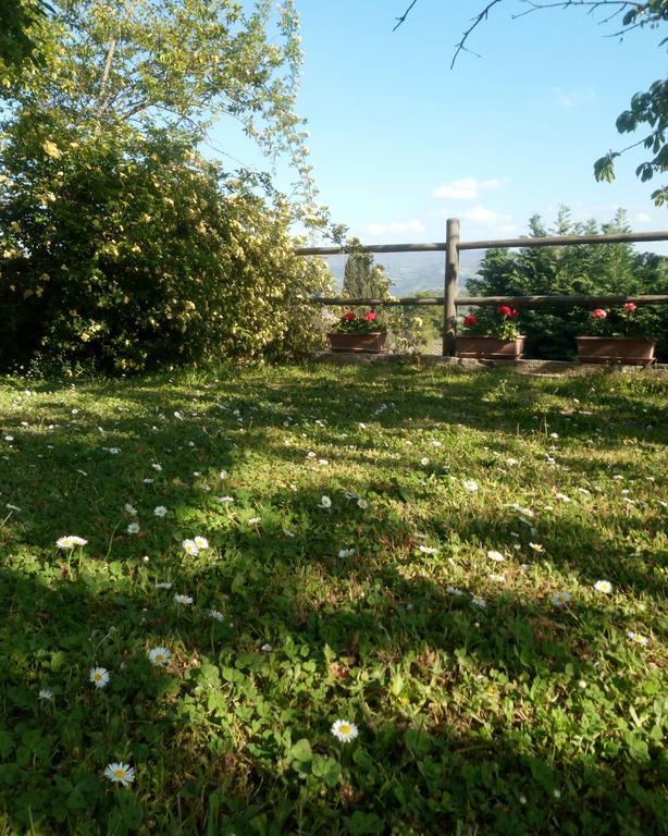 Casa Mezzuola Agriturismo Villa Greve in Chianti Bagian luar foto