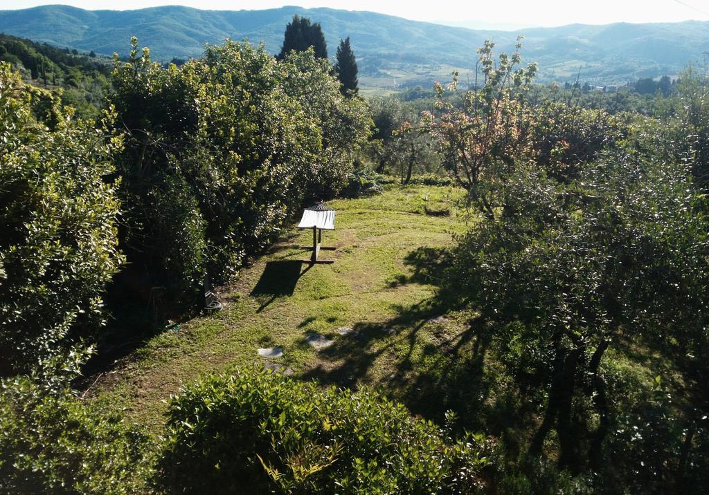 Casa Mezzuola Agriturismo Villa Greve in Chianti Bagian luar foto