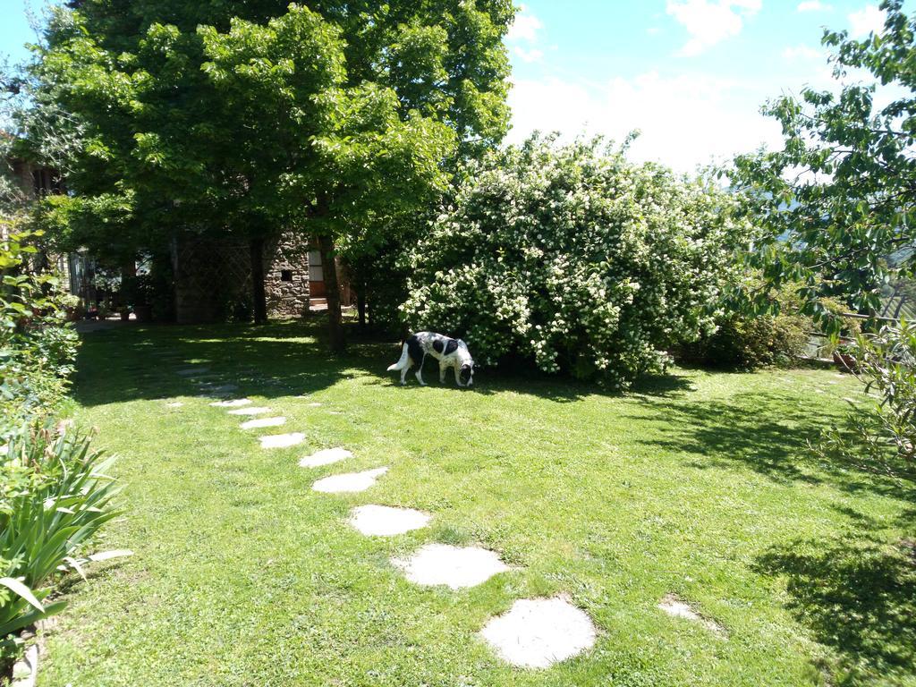 Casa Mezzuola Agriturismo Villa Greve in Chianti Bagian luar foto