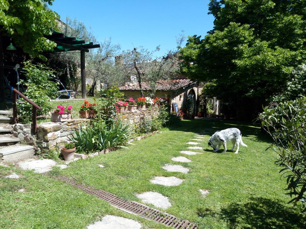 Casa Mezzuola Agriturismo Villa Greve in Chianti Bagian luar foto